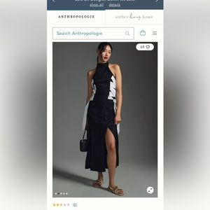 Stunning Maeve by Anthropologie dress